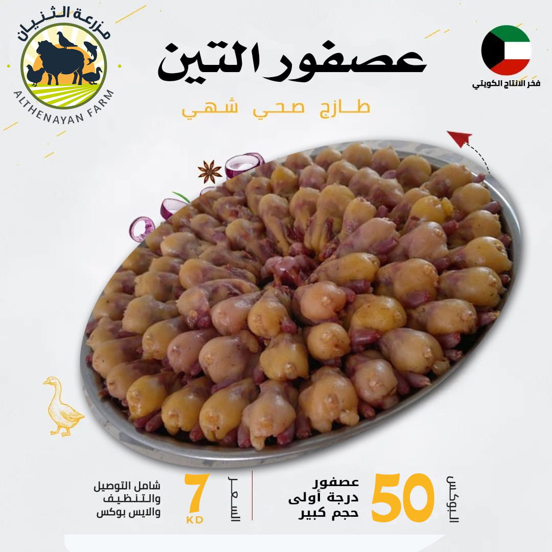 عرض 50 عصفور التين
